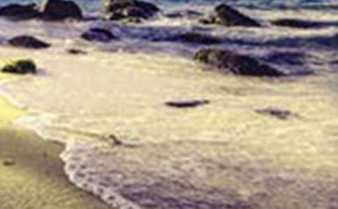 ����ѡ����������300����ƪ