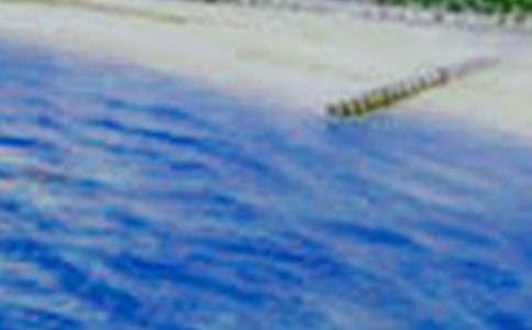 ����ѡ������������600�ֺϼ�6ƪ