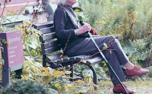 ������������д�����ļ���10ƪ