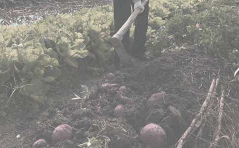 2022��ũ���￹�����ֹ���ʵʩ��������ѡ9ƪ��