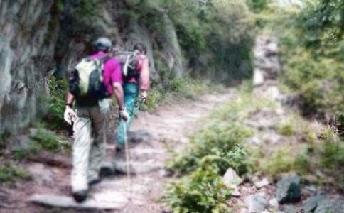 ��ѡ��ɽ�μ�����6ƪ