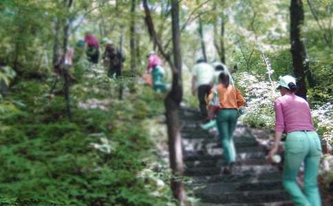 ��ɽ��˵˵��������Ȧ