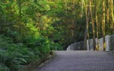 精选爬山游记作文7篇