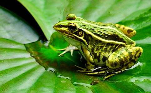 �йر������ܶ��꼶���Ļ��ʮƪ