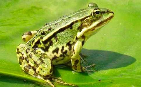 ���ܾ��Ű���������