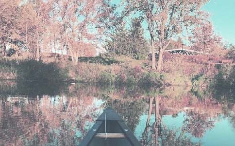 ��ѡ�＾�����ƻ��ϼ�ʮƪ