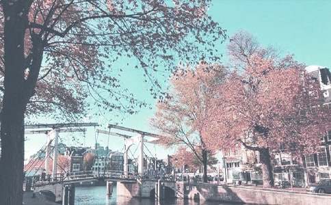 精选秋季工作计划模板集合五篇