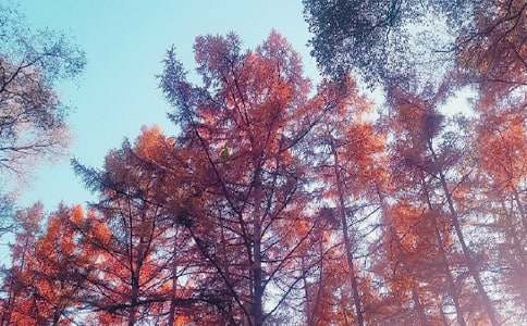 ����˽������800��