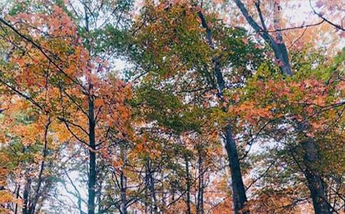 ���ն�������800��