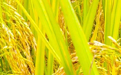 ��������700��