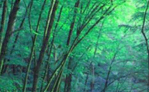 ɭ�ֶ�������400�ּ���8ƪ