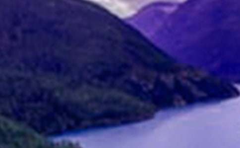 畅游山水之间作文700字