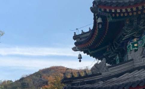 ����ѡ��������ǧ������500����ƪ