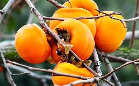 [����]��������600��4ƪ