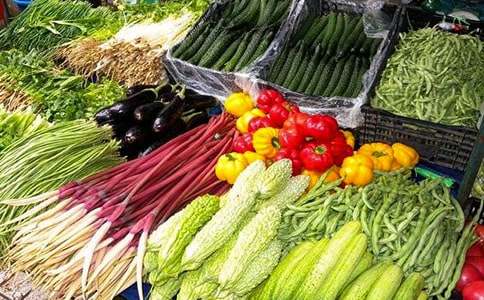 �߲˹����ƻ�