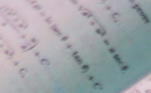 ��ѧ�����鳤�����ܽ�