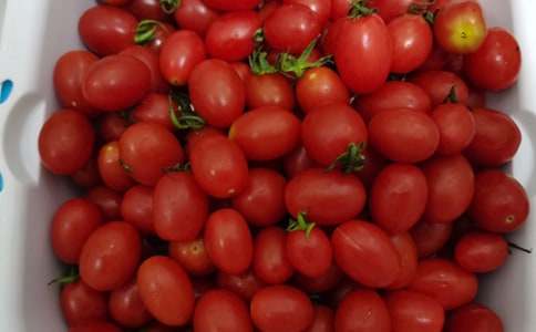 ���Ƽ���ˮ�����꼶���Ļ��10ƪ