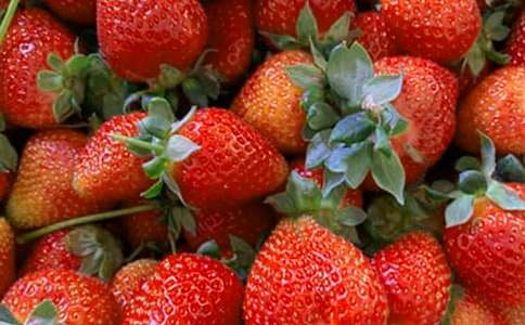 有关二年级水果作文合集七篇