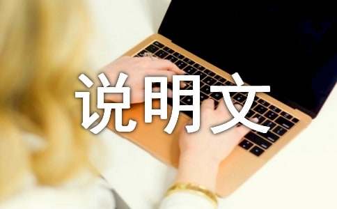 ʵ�õ�˵��������300�ֻ��6ƪ