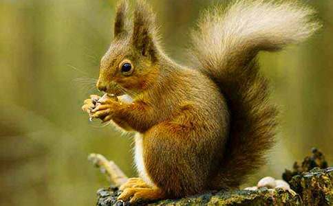 ��������600�֡�����4ƪ��