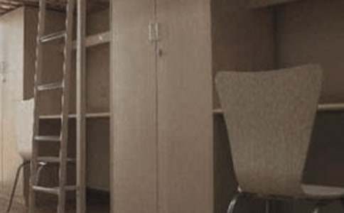 ������������ƻ�������ƪ