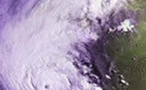 ��̨��Ӧ��Ԥ��