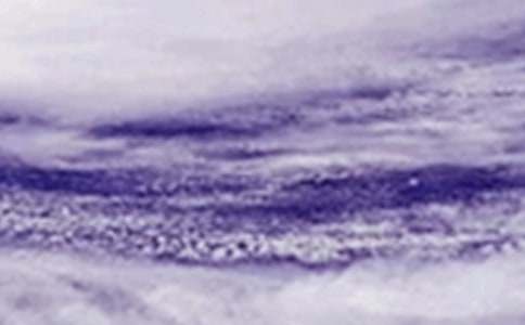 ̨�������600�֣���ѡ31ƪ��