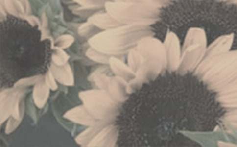 ���������̫����Ů�����и�13ƪ