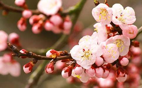 ���һ��������������Ȧ