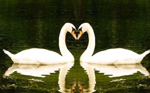 ����������ɺ�����и�(8ƪ)