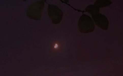 ��̵�Ψ���������ʺ�����¼41��