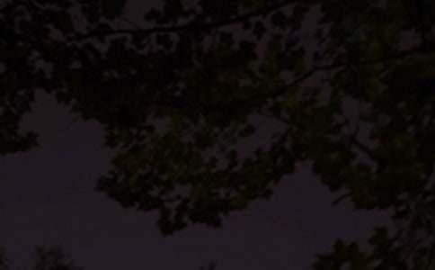 关于励志晚安说说汇总195句精选