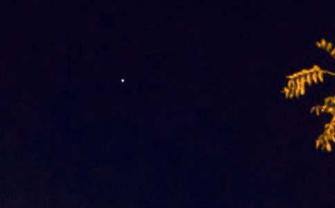 �����š�2026�������ʺ������79��