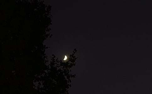 2026�곣����������������Ȧ�ʺ���46��