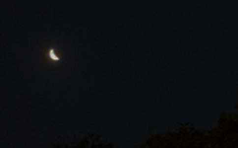 2026��򵥵�����ϵ����΢���ʺ��Ｏ��41��