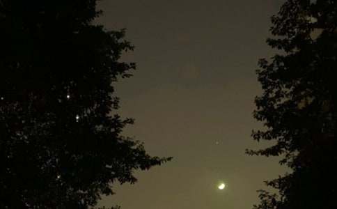 ʵ�õ�����ϵ�����ʺ���ժ¼53��