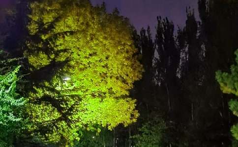 2026�������ů������QQ�ʺ������34��