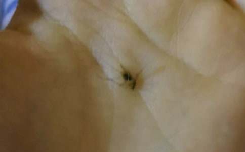 ���ڴ�����һֻ�����ӵ�˵˵ ��һֻ�������ڵ�˵˵