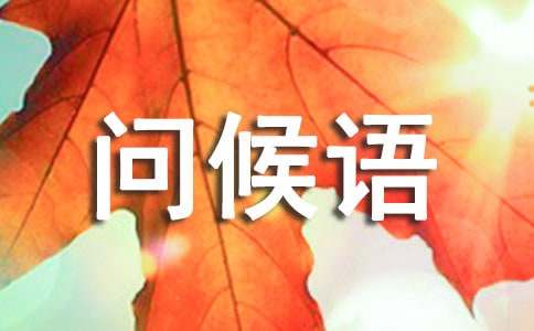 ��С��ļ���ʺ���