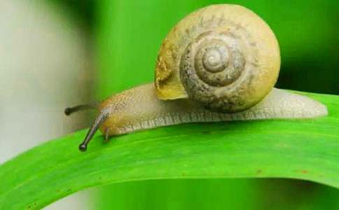 �������꼶��ţ�����ĺϼ�5ƪ