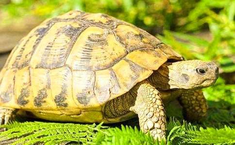 �����ڹ����꼶����