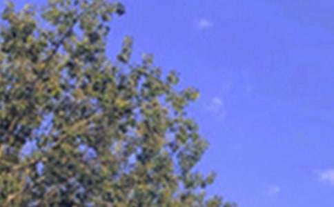 温暖的午安问候语集锦53句