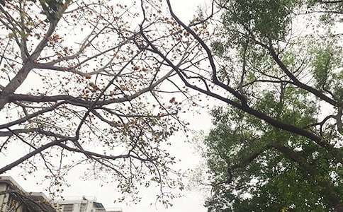 ���������簲ף������ܣ���ѡ50�䣩