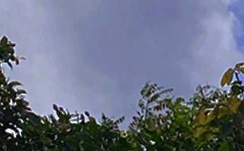 2026年唯美的午安QQ问候语大汇总51句