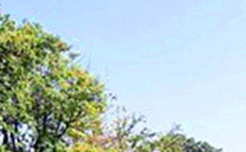 温馨的午安微信问候语37句