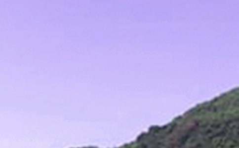 2026��Ψ�����簲QQ�ʺ������57��