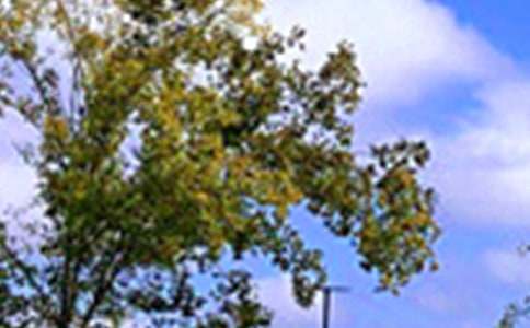 ����ů���簲ף�������50��