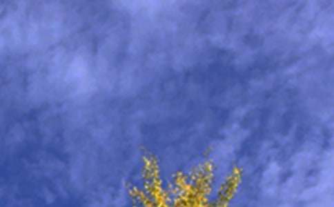 2024年午安问候语短信47句