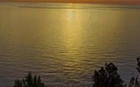 �����������簲ף�������50��