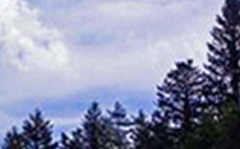 ��������Ȧ�簲��������50�侫ѡ